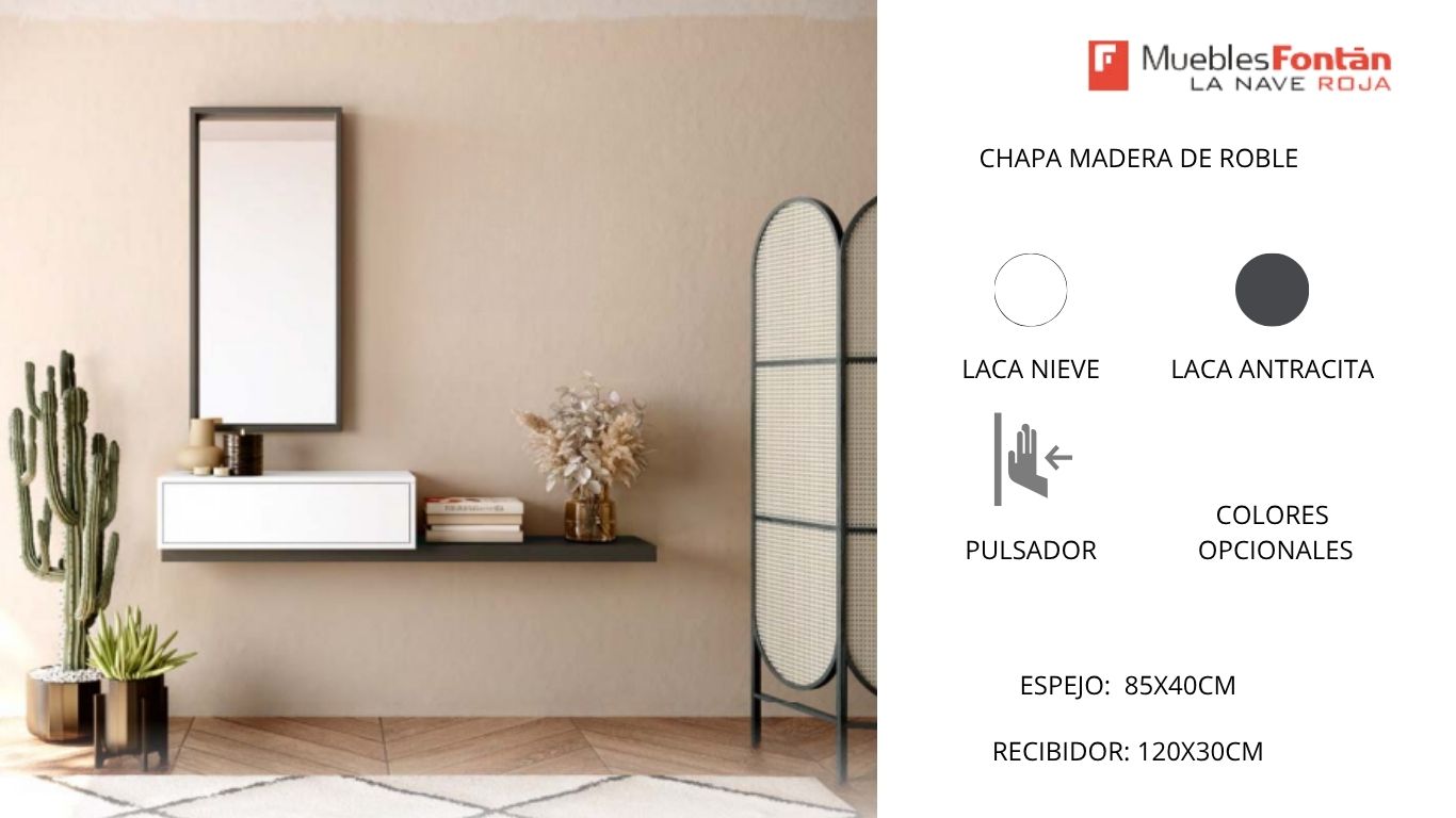 ENTRADAS / RECIBIDOR /CONSOLAS